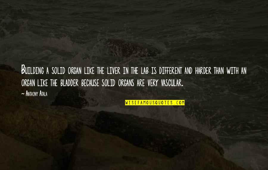 The Liver Quotes By Anthony Atala: Building a solid organ like the liver in The Liver Quotes By Anthony Atala: Building a solid organ like the liver in