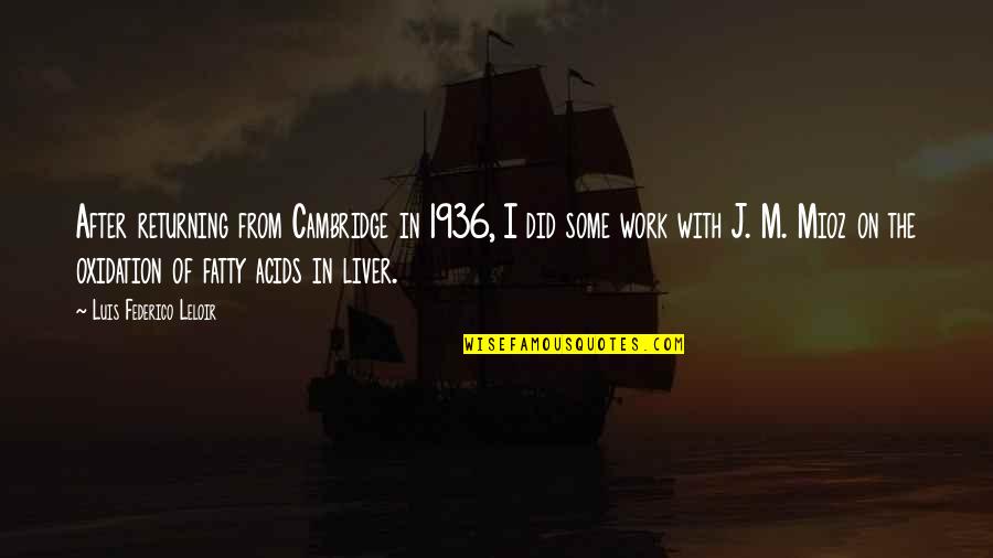 The Liver Quotes By Luis Federico Leloir: After returning from Cambridge in 1936, I did The Liver Quotes By Luis Federico Leloir: After returning from Cambridge in 1936, I did