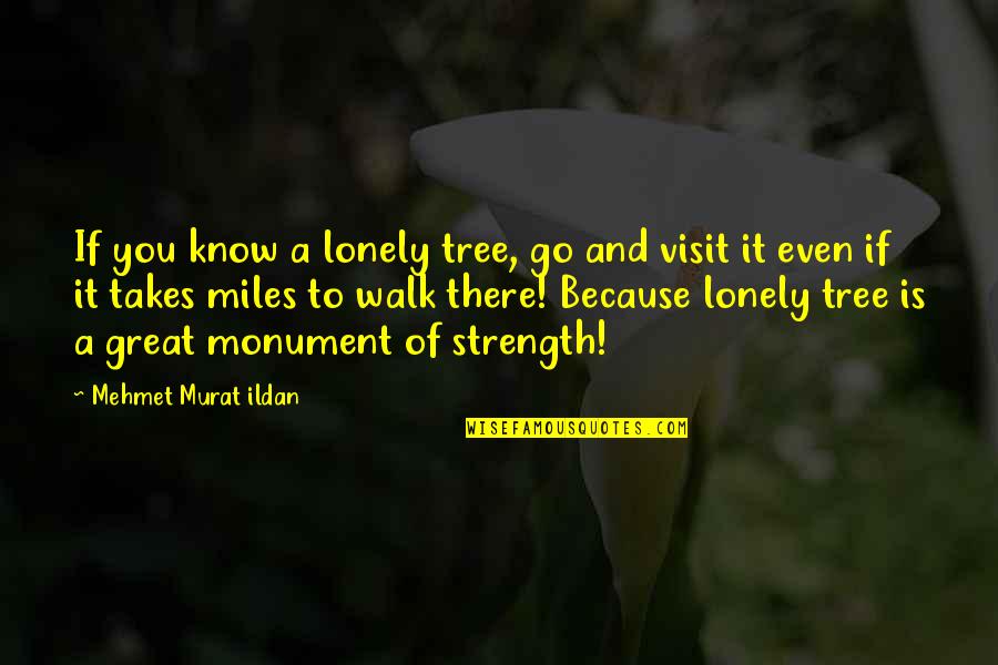The Lonely Walk Quotes By Mehmet Murat Ildan: If you know a lonely tree, go and The Lonely Walk Quotes By Mehmet Murat Ildan: If you know a lonely tree, go and