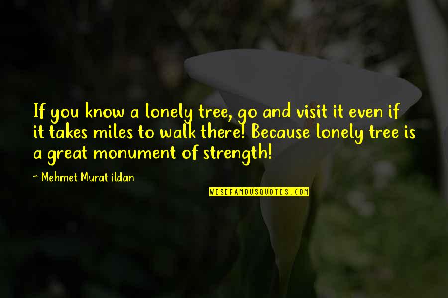 The Lonely Walk Quotes By Mehmet Murat Ildan: If you know a lonely tree, go and