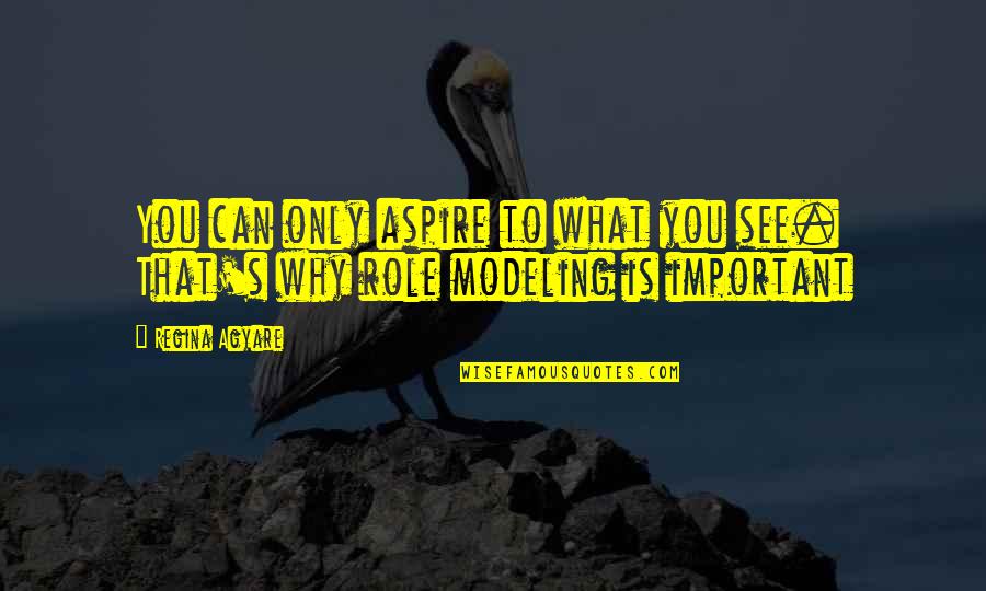 The Lord Leading Me Quotes By Regina Agyare: You can only aspire to what you see.