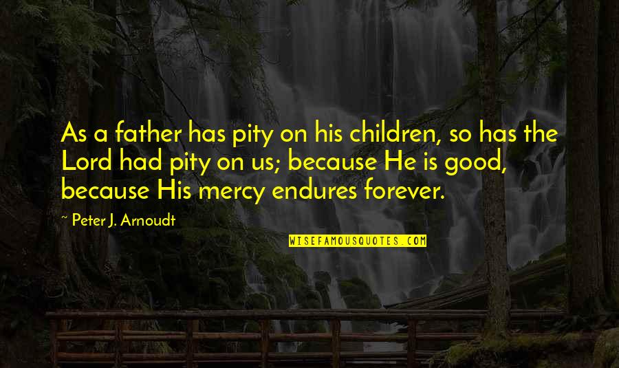 The Lord's Mercy Quotes By Peter J. Arnoudt: As a father has pity on his children,