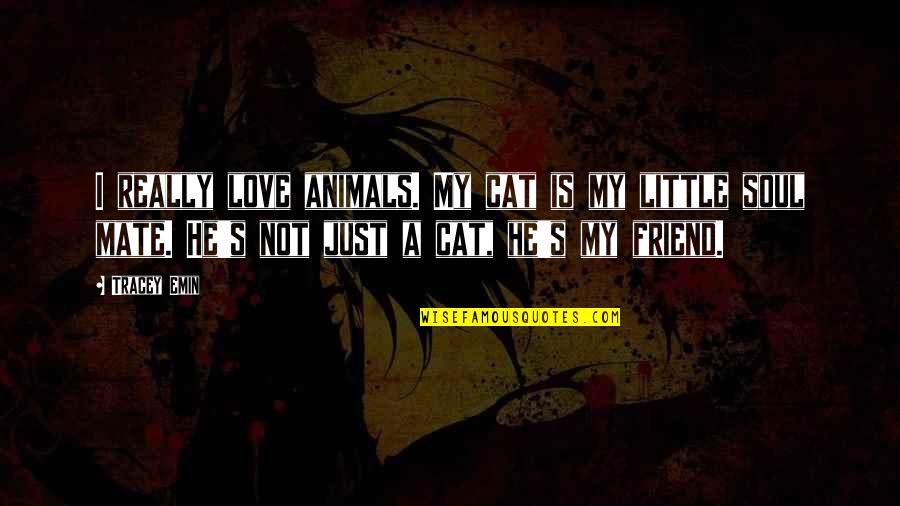 The Love Of A Best Friend Quotes By Tracey Emin: I really love animals. My cat is my The Love Of A Best Friend Quotes By Tracey Emin: I really love animals. My cat is my