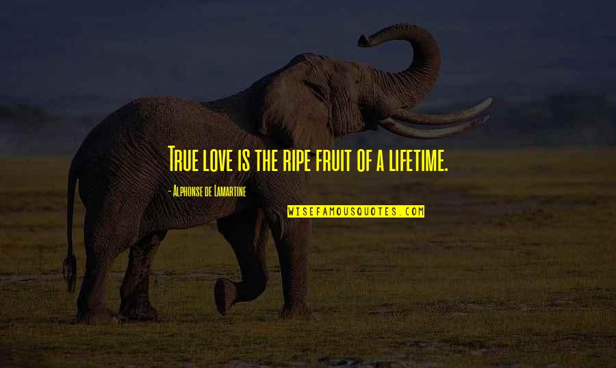 The Love Of A Lifetime Quotes By Alphonse De Lamartine: True love is the ripe fruit of a