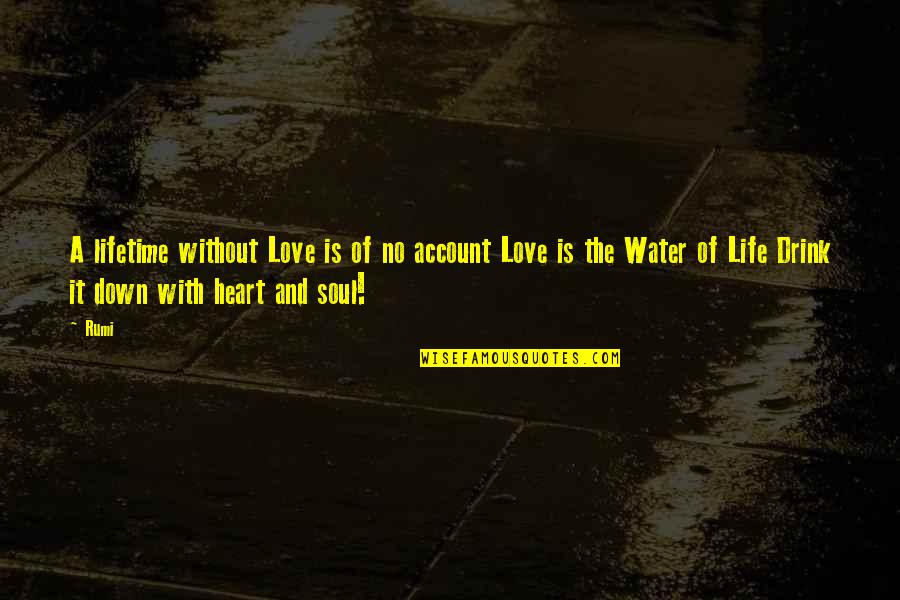 The Love Of A Lifetime Quotes By Rumi: A lifetime without Love is of no account