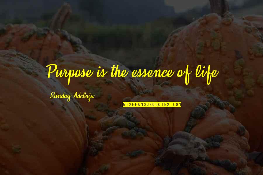 The Love Of Money Quotes By Sunday Adelaja: Purpose is the essence of life