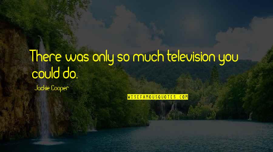 The Love Of Your Life Tumblr Quotes By Jackie Cooper: There was only so much television you could