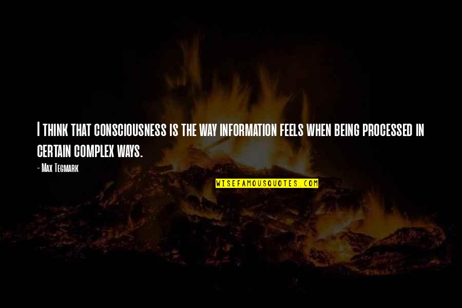 The Lunar Chronicles Quotes By Max Tegmark: I think that consciousness is the way information The Lunar Chronicles Quotes By Max Tegmark: I think that consciousness is the way information