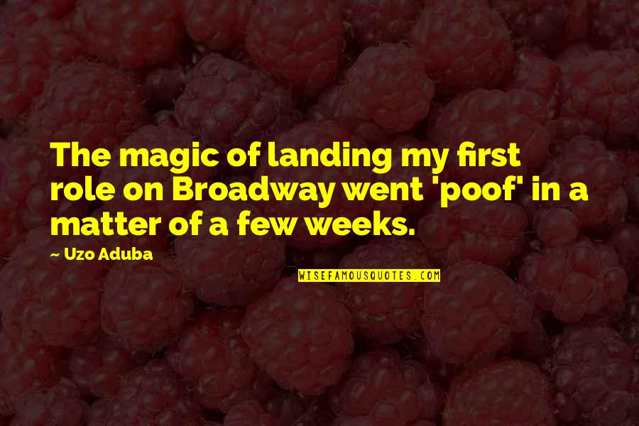 The Magic Of Broadway Quotes By Uzo Aduba: The magic of landing my first role on