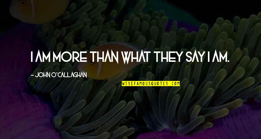 The Maine Music Quotes By John O'Callaghan: I am more than what they say I