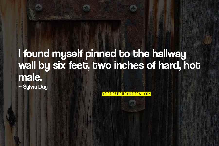 The Maltese Falcon Quotes By Sylvia Day: I found myself pinned to the hallway wall