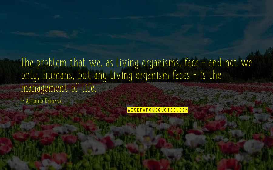 The Management Quotes By Antonio Damasio: The problem that we, as living organisms, face