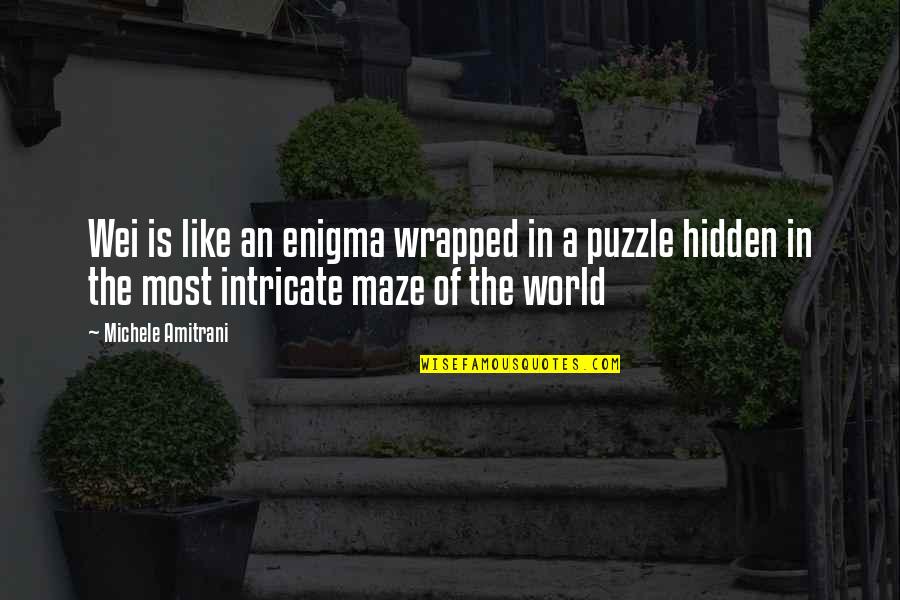 The Maze Quotes By Michele Amitrani: Wei is like an enigma wrapped in a