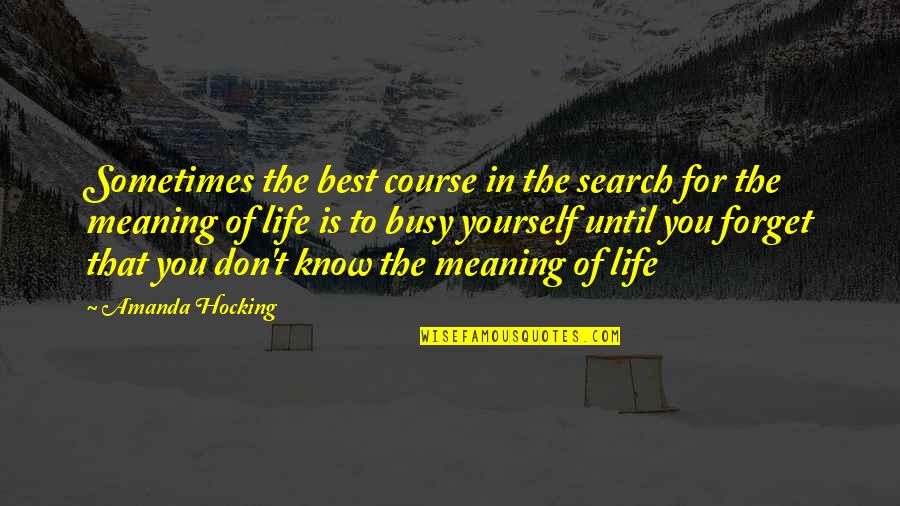 The Meaning Of Life Best Quotes By Amanda Hocking: Sometimes the best course in the search for
