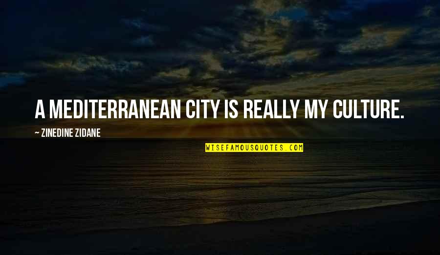 The Mediterranean Quotes By Zinedine Zidane: A Mediterranean city is really my culture.