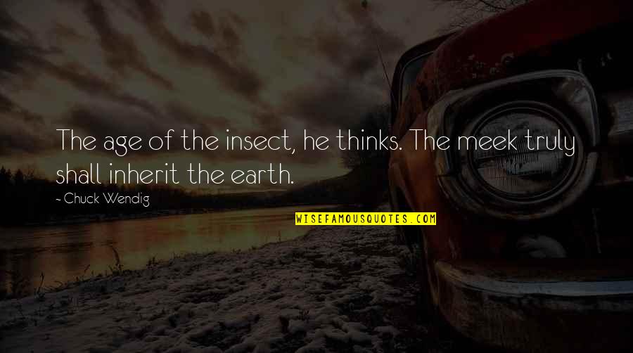 The Meek Quotes By Chuck Wendig: The age of the insect, he thinks. The