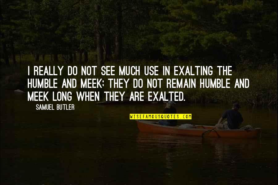 The Meek Quotes By Samuel Butler: I really do not see much use in