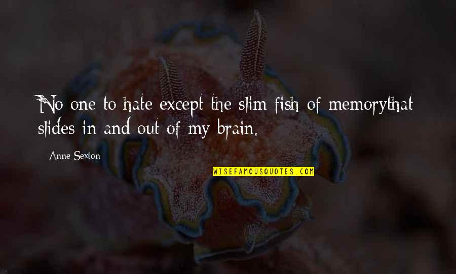 The Memory That Quotes By Anne Sexton: No one to hate except the slim fish