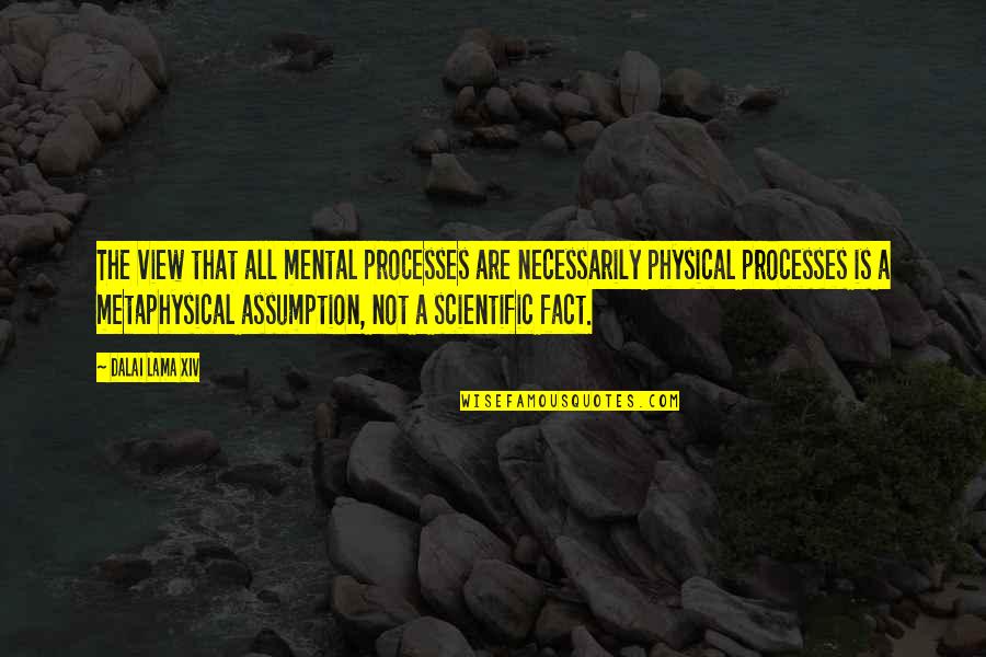 The Mental Quotes By Dalai Lama XIV: The view that all mental processes are necessarily