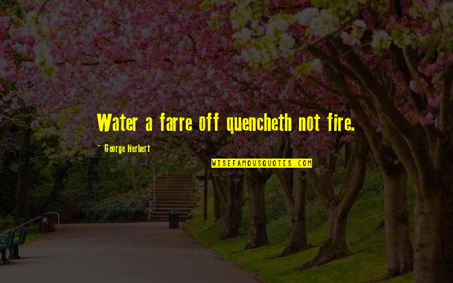 The Middle Colonies Quotes By George Herbert: Water a farre off quencheth not fire.