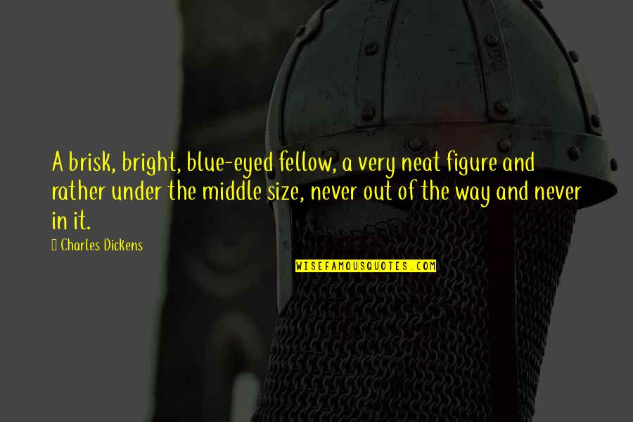 The Middle Way Quotes By Charles Dickens: A brisk, bright, blue-eyed fellow, a very neat