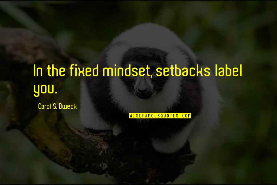 The Mindset Quotes By Carol S. Dweck: In the fixed mindset, setbacks label you.