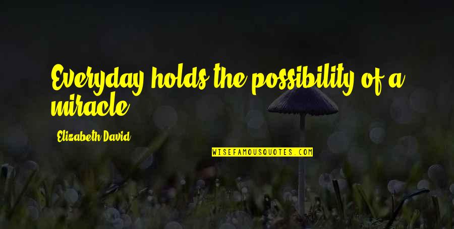 The Miracle Of Life Quotes By Elizabeth David: Everyday holds the possibility of a miracle. The Miracle Of Life Quotes By Elizabeth David: Everyday holds the possibility of a miracle.