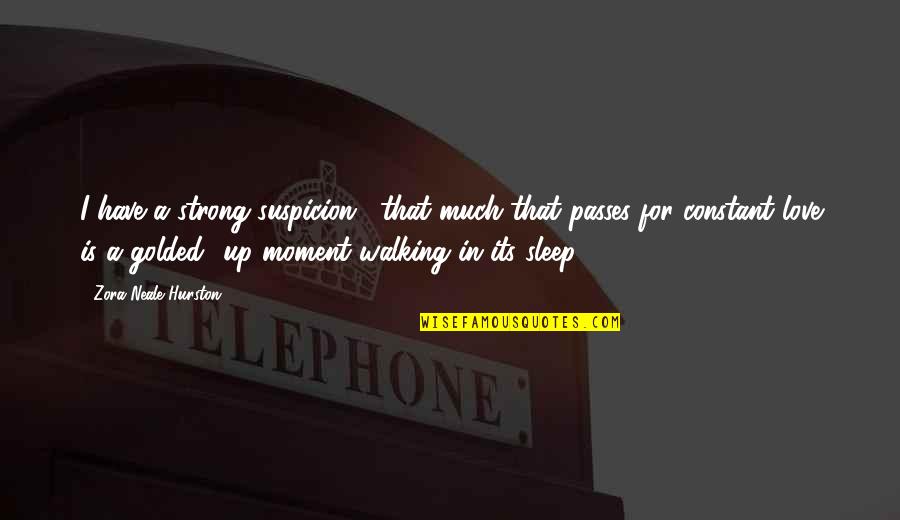 The Moment Passes You By Quotes By Zora Neale Hurston: I have a strong suspicion . that much The Moment Passes You By Quotes By Zora Neale Hurston: I have a strong suspicion . that much