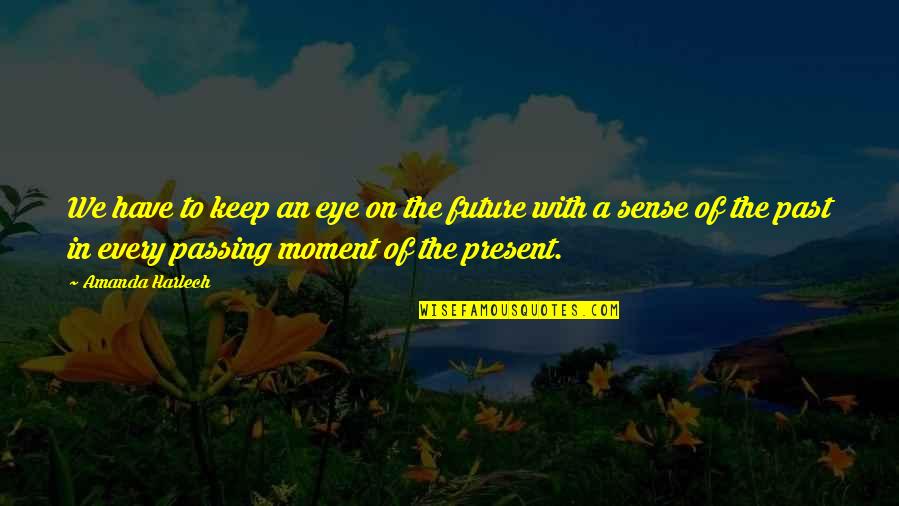 The Moment Passing You By Quotes By Amanda Harlech: We have to keep an eye on the