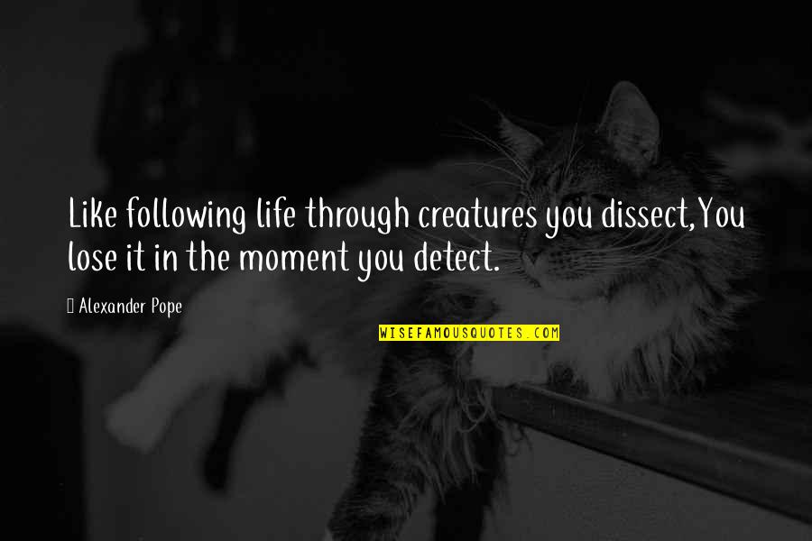 The Moments In Life Quotes By Alexander Pope: Like following life through creatures you dissect,You lose