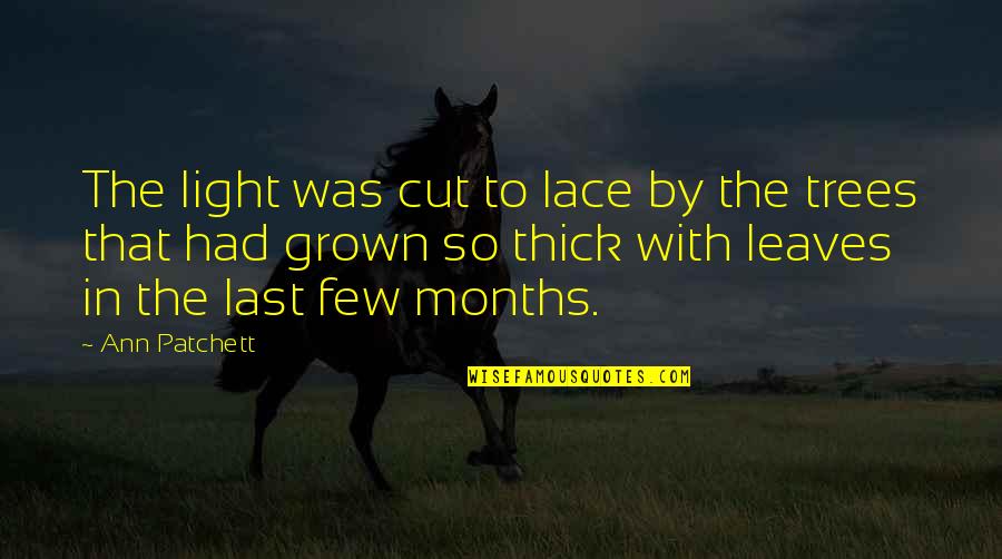 The Months Quotes By Ann Patchett: The light was cut to lace by the