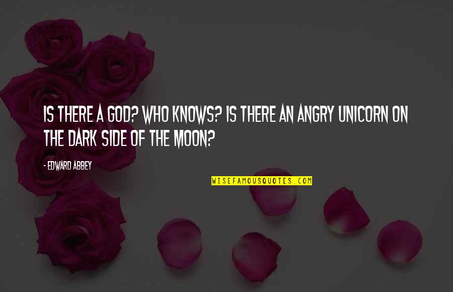 The Moon And God Quotes By Edward Abbey: Is there a God? Who knows? Is there