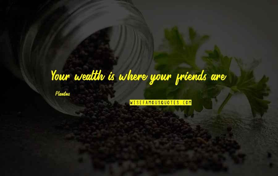 The Moon And Loneliness Quotes By Plautus: Your wealth is where your friends are.