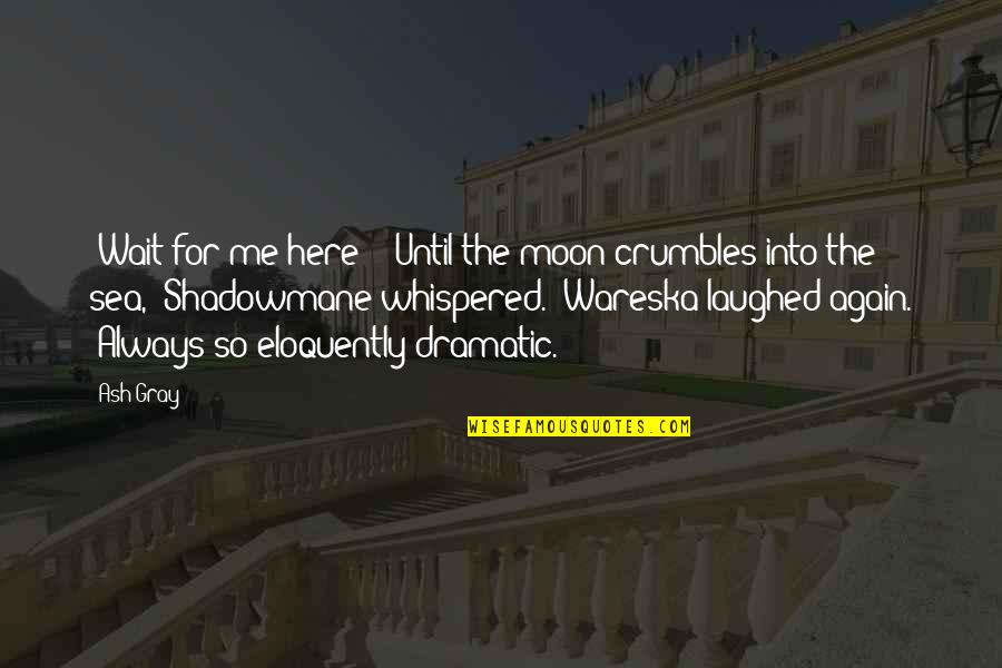 The Moon And Sea Quotes By Ash Gray: :Wait for me here?: :Until the moon crumbles