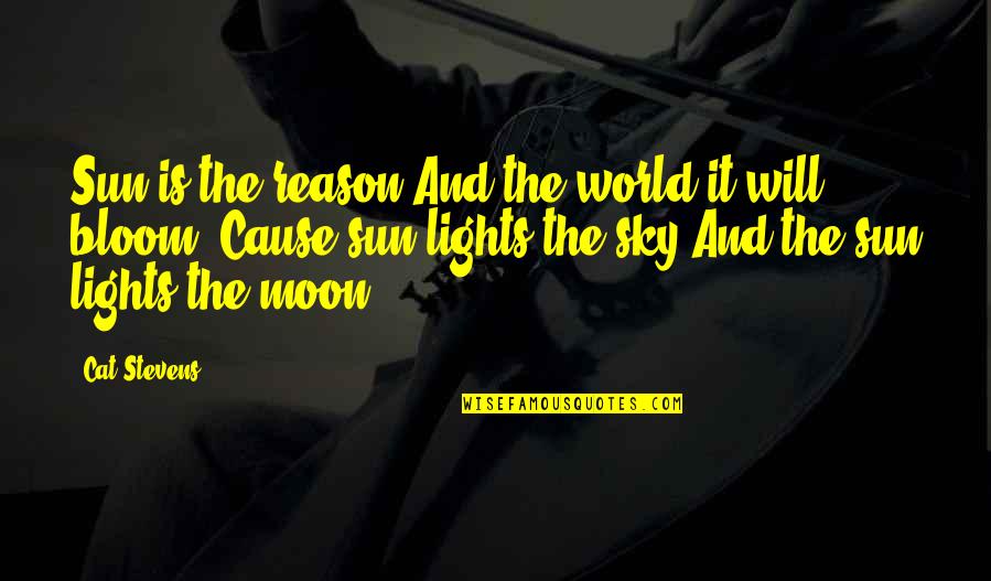 The Moon And Sun Quotes By Cat Stevens: Sun is the reason And the world it