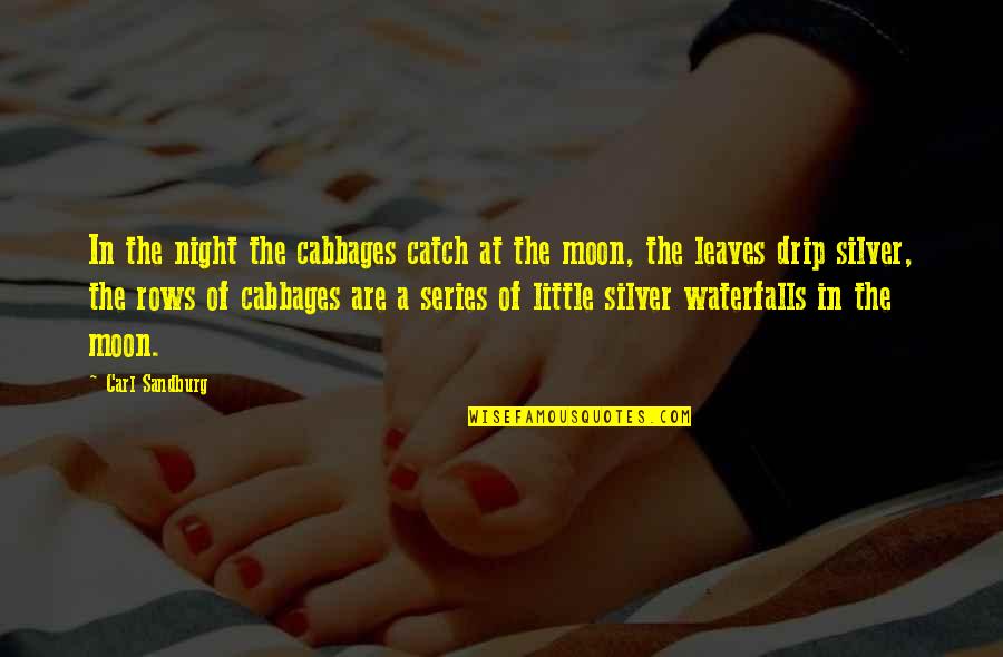 The Moon At Night Quotes By Carl Sandburg: In the night the cabbages catch at the The Moon At Night Quotes By Carl Sandburg: In the night the cabbages catch at the
