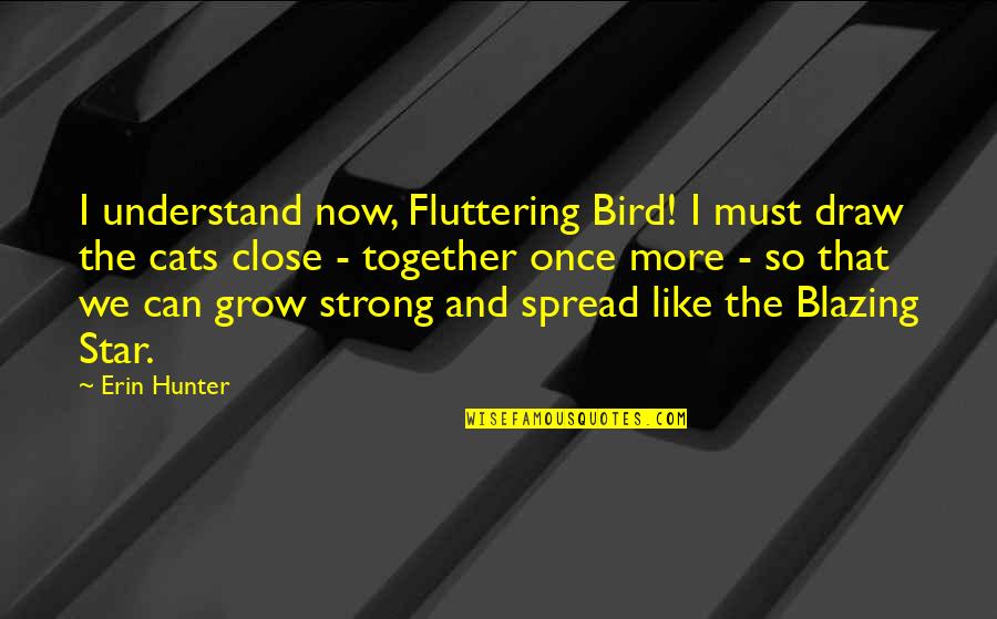 The More We Grow Quotes By Erin Hunter: I understand now, Fluttering Bird! I must draw