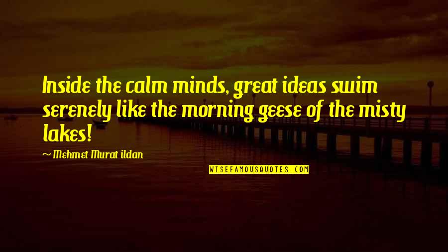 The Morning Calm Quotes By Mehmet Murat Ildan: Inside the calm minds, great ideas swim serenely The Morning Calm Quotes By Mehmet Murat Ildan: Inside the calm minds, great ideas swim serenely