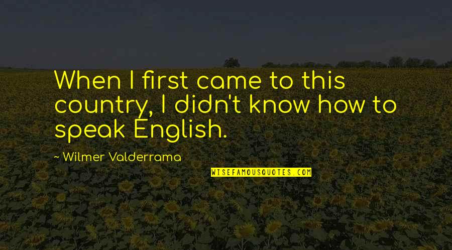 The Morning Sunrise Quotes By Wilmer Valderrama: When I first came to this country, I