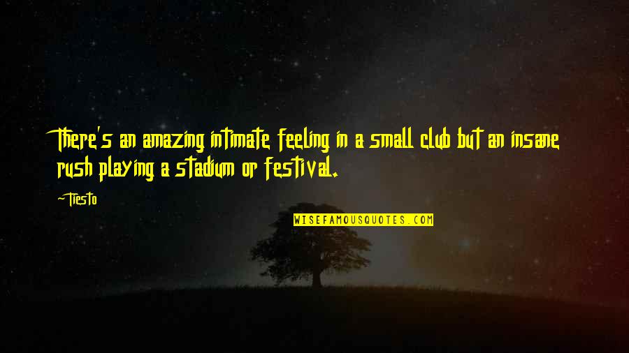 The Most Amazing Feeling Quotes By Tiesto: There's an amazing intimate feeling in a small The Most Amazing Feeling Quotes By Tiesto: There's an amazing intimate feeling in a small