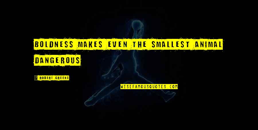 The Most Dangerous Animal Quotes By Robert Greene: Boldness makes even the smallest animal dangerous