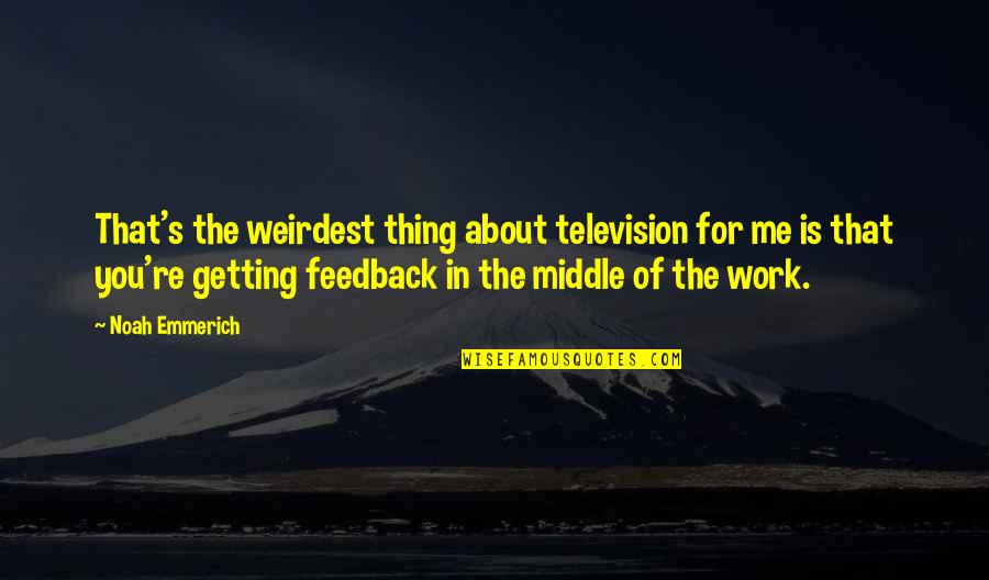 The Most Weirdest Quotes By Noah Emmerich: That's the weirdest thing about television for me