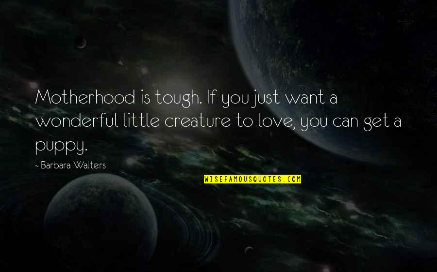 The Most Wonderful Love Quotes By Barbara Walters: Motherhood is tough. If you just want a
