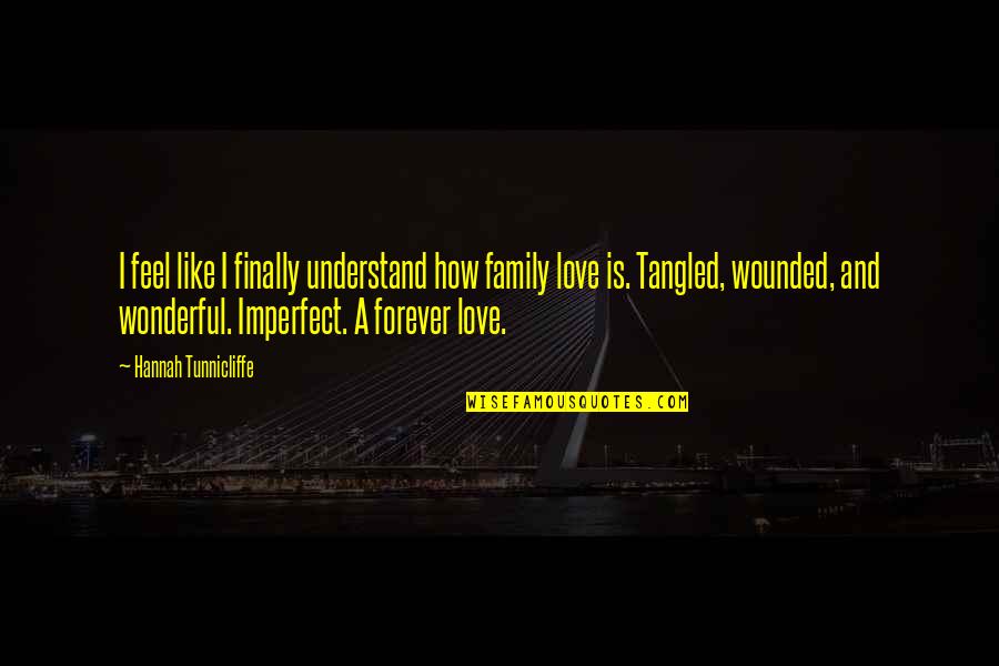 The Most Wonderful Love Quotes By Hannah Tunnicliffe: I feel like I finally understand how family