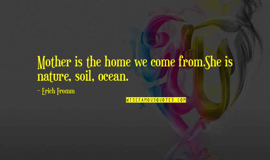 The Mother Nature Quotes By Erich Fromm: Mother is the home we come from.She is