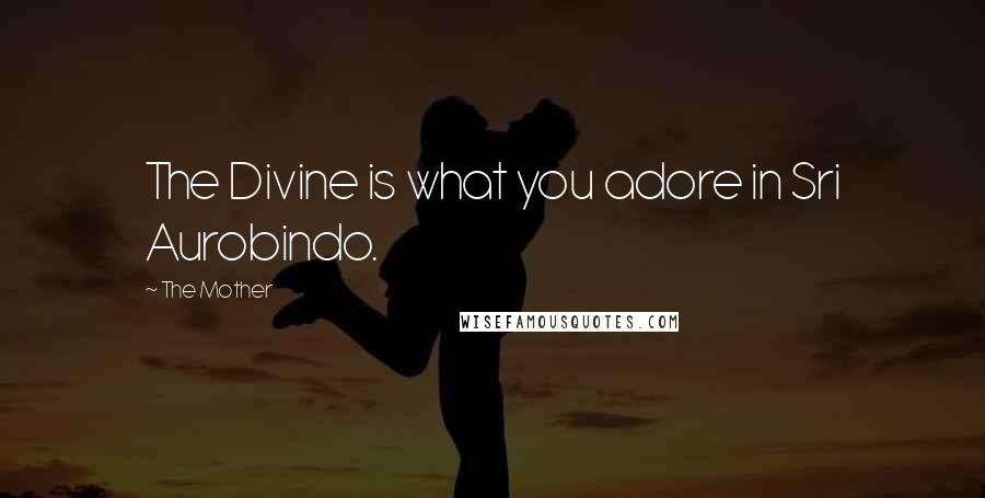 The Mother quotes: The Divine is what you adore in Sri Aurobindo.