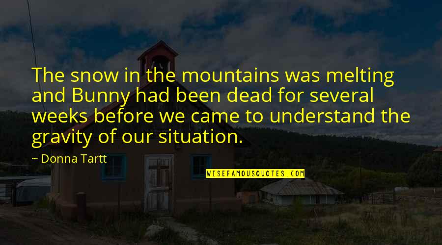 The Mountains And Snow Quotes By Donna Tartt: The snow in the mountains was melting and