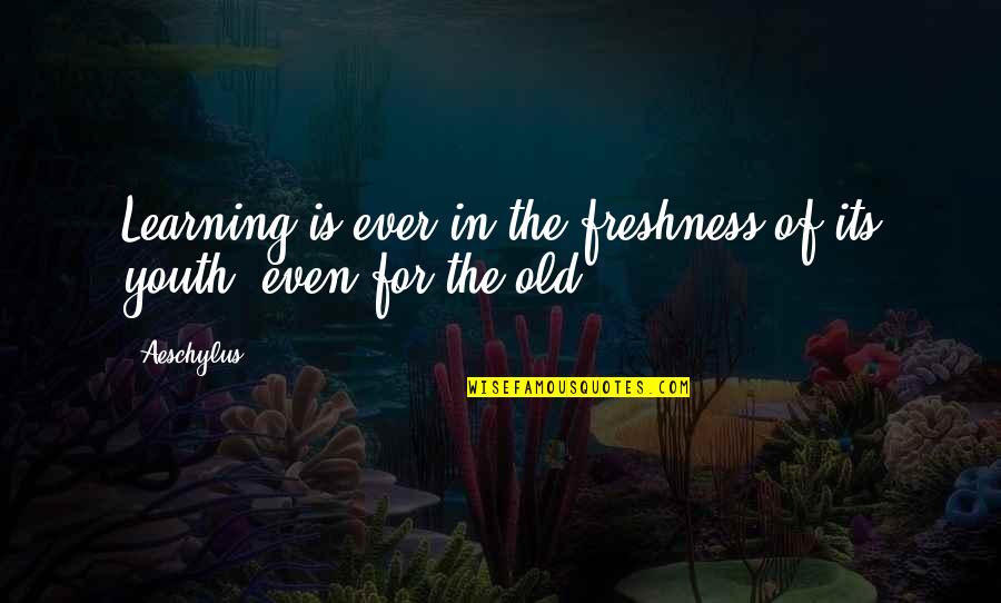 The Movie Ted Funny Quotes By Aeschylus: Learning is ever in the freshness of its