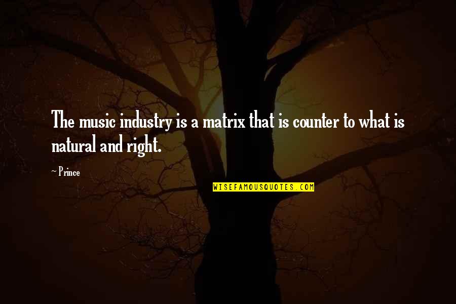 The Music Industry Quotes By Prince: The music industry is a matrix that is