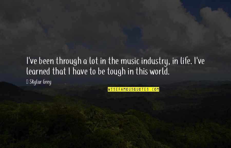 The Music Industry Quotes By Skylar Grey: I've been through a lot in the music